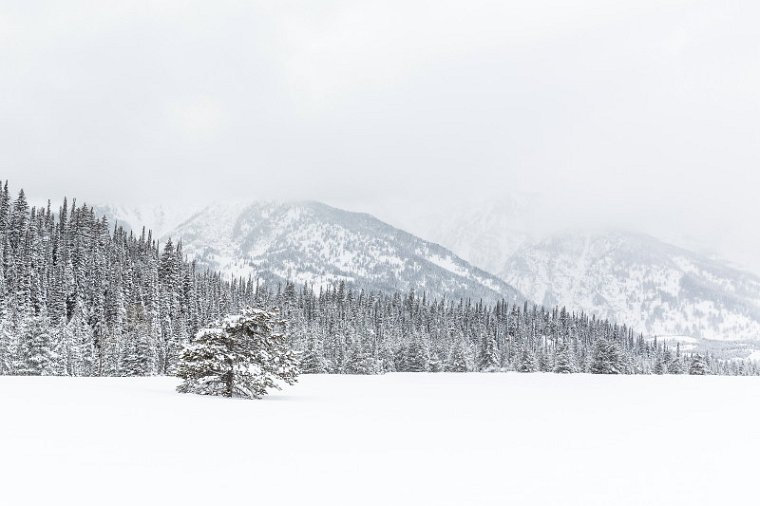 04 Teton NP.jpg